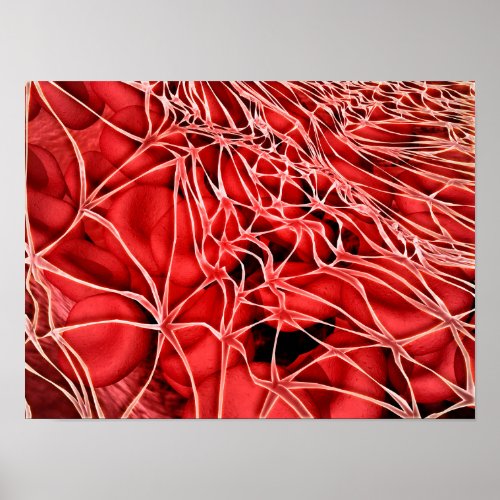 Conceptual Image Of Red Blood Cells With Fibrin Poster