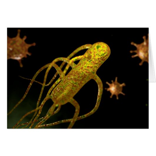 Conceptual Image Of Salmonella Typhi 1 Cards (Front Horizontal)