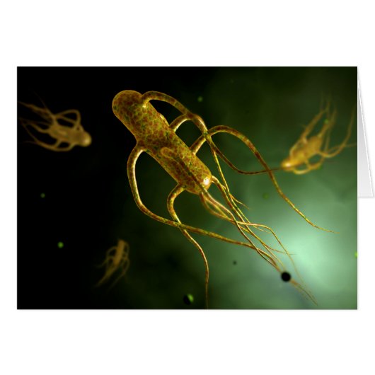 Conceptual Image Of Salmonella Typhi 2 Cards (Front Horizontal)