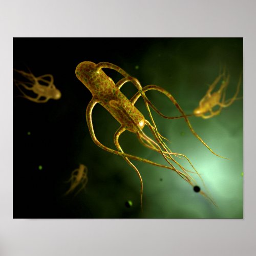 Conceptual Image Of Salmonella Typhi 2 Poster