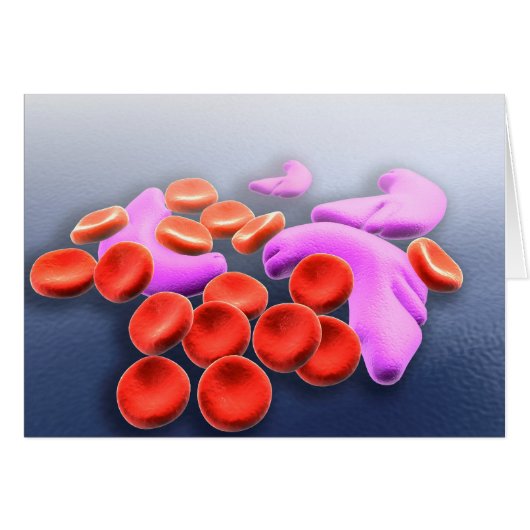 Conceptual Image Of Sickle Cell Anemia Cards (Front Horizontal)