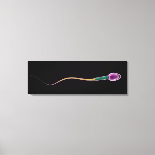 Conceptual Image Of Sperm Anatomy Canvas Print