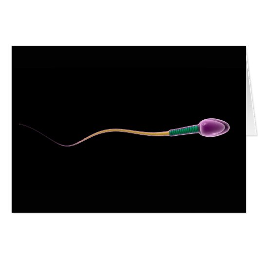 Conceptual Image Of Sperm Anatomy Cards (Front Horizontal)