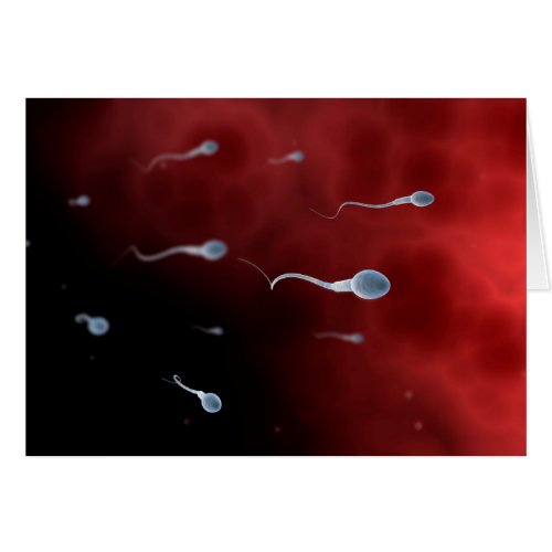 Conceptual Image Of Sperm Inside Fallopian Tube