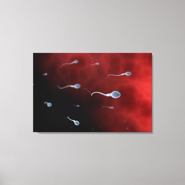 Conceptual Image Of Sperm Inside Fallopian Tube Canvas Print (Front)
