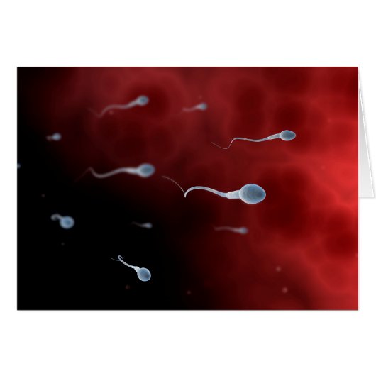 Conceptual Image Of Sperm Inside Fallopian Tube Cards (Front Horizontal)