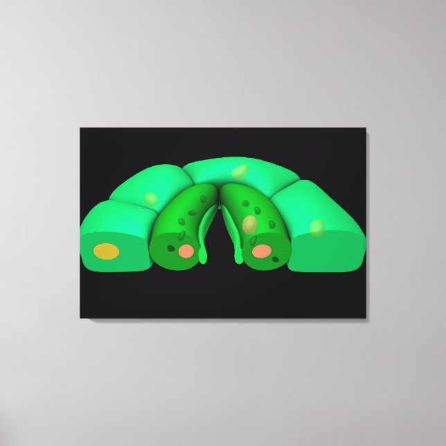Conceptual Image Of Stomata 2 Canvas Print (Front)