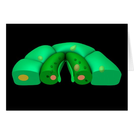 Conceptual Image Of Stomata 2 Cards (Front Horizontal)