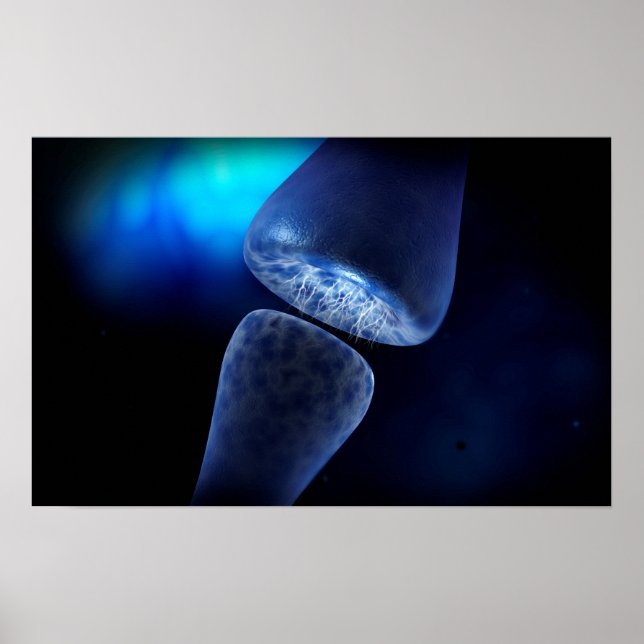 Conceptual Image Of Synapse Of Neuron Inside Poster (Front)
