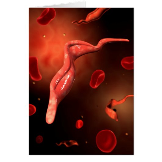 Conceptual Image Of Trypanosoma 1 Cards (Front)