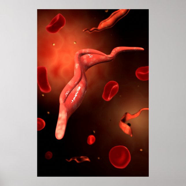 Conceptual Image Of Trypanosoma 1 Poster (Front)