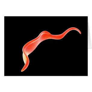 Conceptual Image Of Trypanosoma 2 Cards