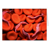 Conceptual Image Of Trypanosoma 3 (Front Horizontal)