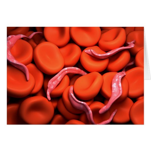 Conceptual Image Of Trypanosoma 3 Cards (Front Horizontal)