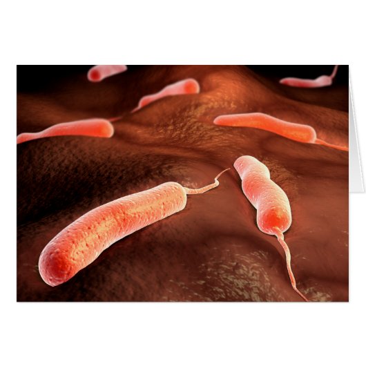 Conceptual Image Of Vibrio Cholerae 1 Cards (Front Horizontal)