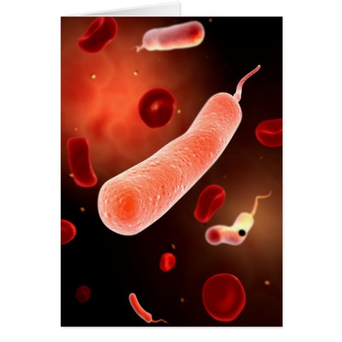 Conceptual Image Of Vibrio Cholerae 2