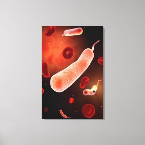 Conceptual Image Of Vibrio Cholerae 2 Canvas Print