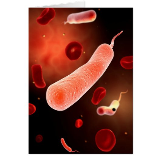 Conceptual Image Of Vibrio Cholerae 2 Cards (Front)