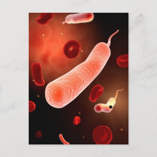 Conceptual Image Of Vibrio Cholerae 2 Postcard