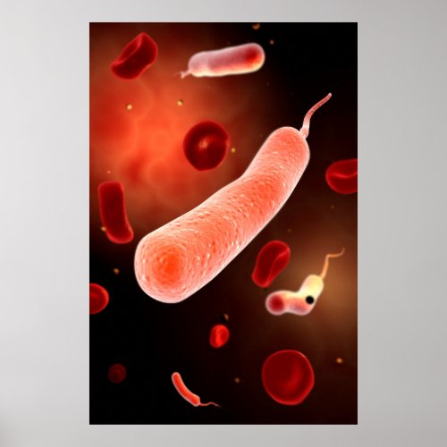 Conceptual Image Of Vibrio Cholerae 2 Poster