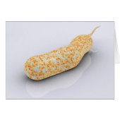 Conceptual Image Of Vibrio Cholerae 3 (Front Horizontal)