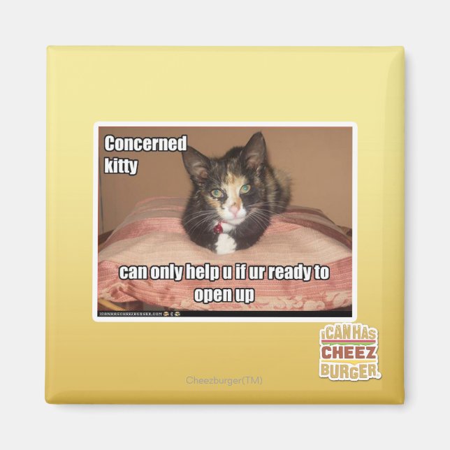 Concerned Kitty Magnet (Front)