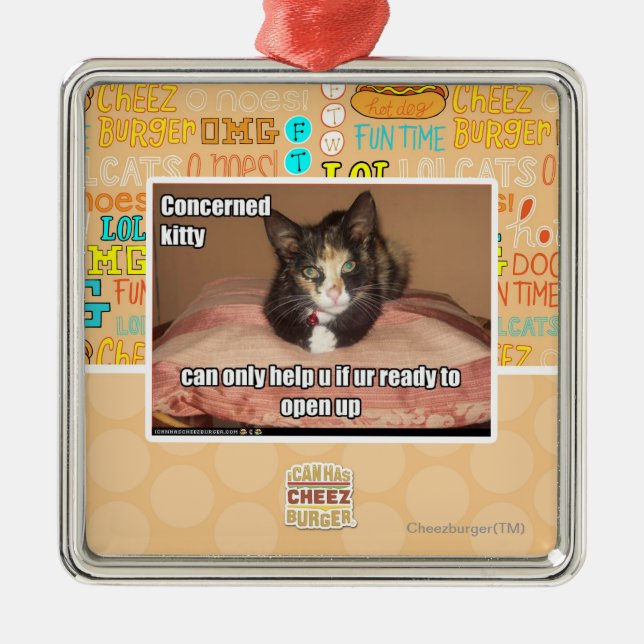Concerned Kitty Metal Ornament (Front)