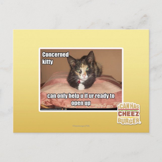 Concerned Kitty Postcard (Front)