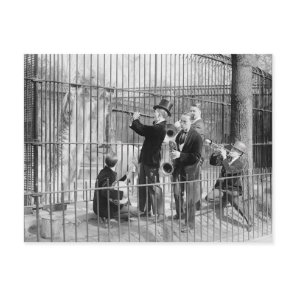 Concert For Polar Bears, 1925 Postcard