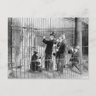 Concert For Polar Bears, 1925 Postcard