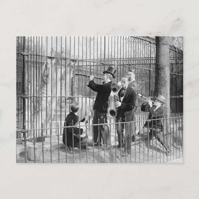 Concert For Polar Bears, 1925 Postcard (Front)