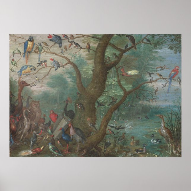 Concert of Birds - Jan van Kessel Fine Art Poster (Front)