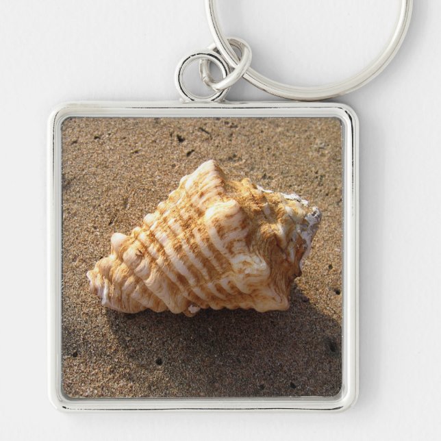 Conch Sea Shell Sand Beach Keychain (Front)