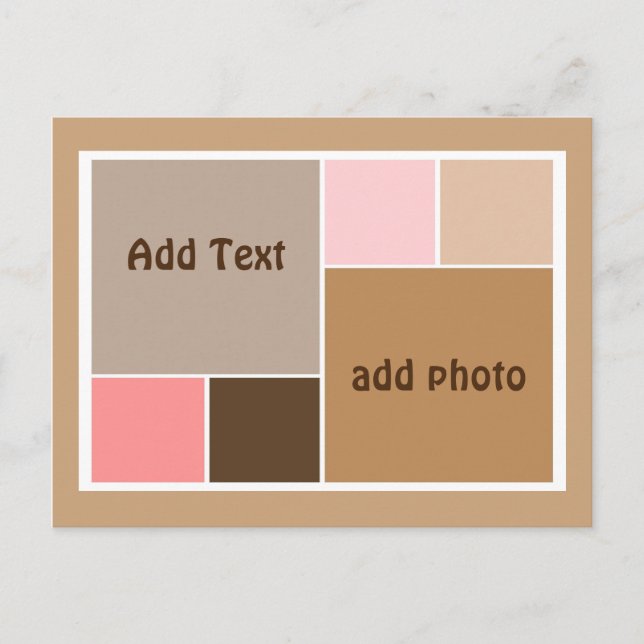 Conch Seashell Color Blocks Postcard (Front)