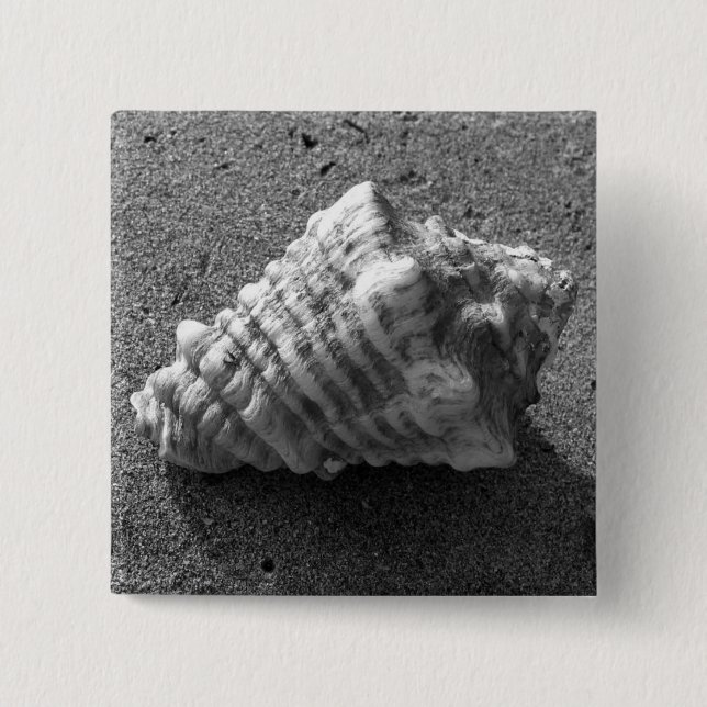 Conch Seashell Sand Beach Button Pin (Front)