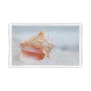 Conch Shell Acrylic Tray