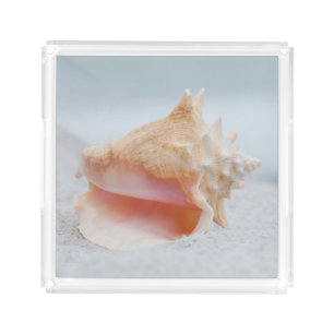Conch Shell Acrylic Tray