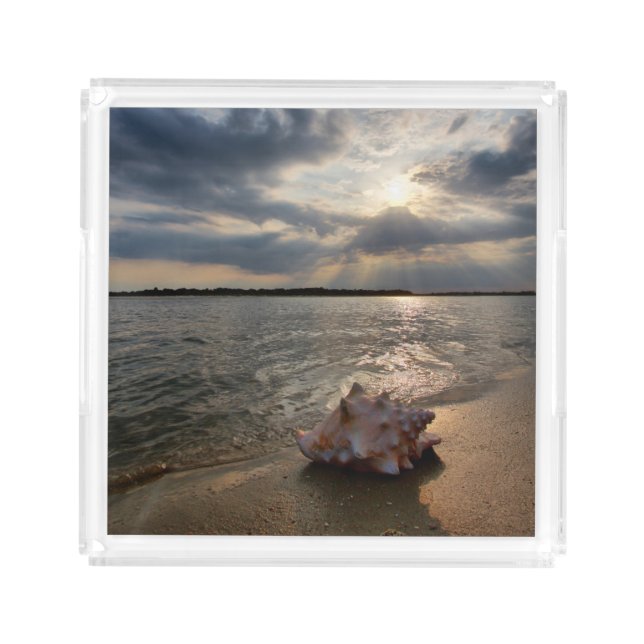Conch Shell At Beach | St. Augustine, Fl Acrylic Tray (Front)
