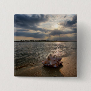 Conch Shell At Beach St. Augustine, Fl Button