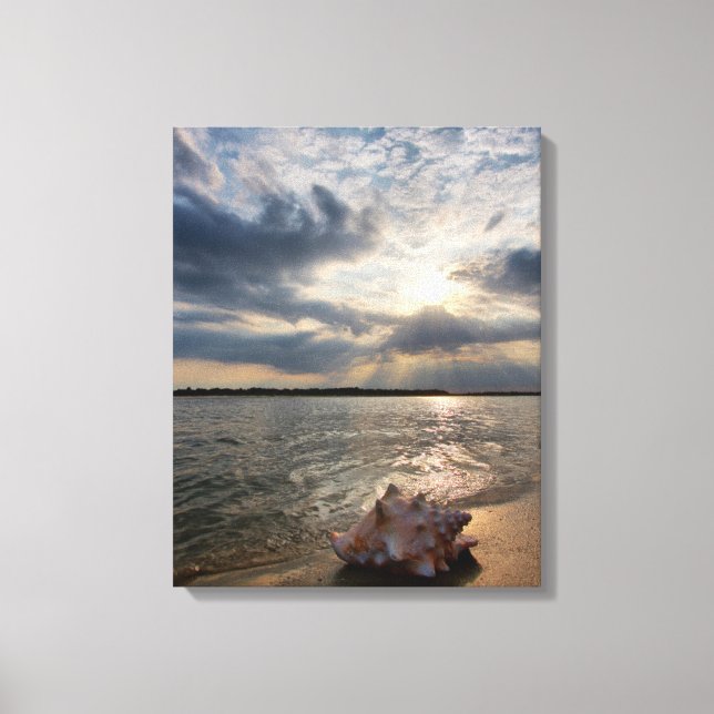 Conch Shell At Beach | St. Augustine, Fl Canvas Print (Front)