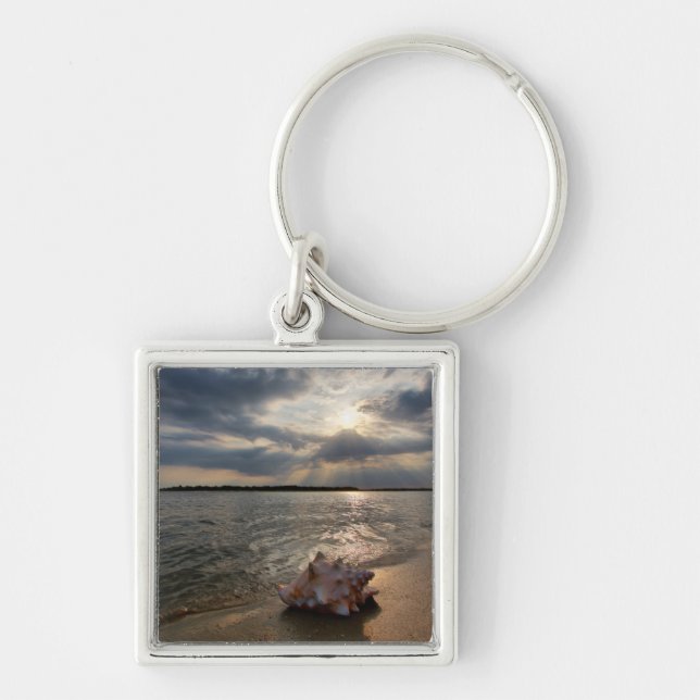 Conch Shell At Beach | St. Augustine, Fl Keychain (Front)