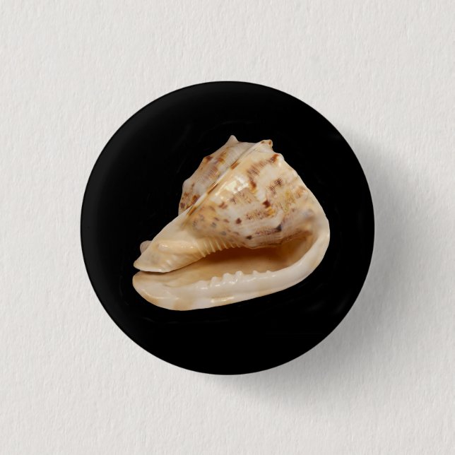 Conch Shell Badge Button (Front)