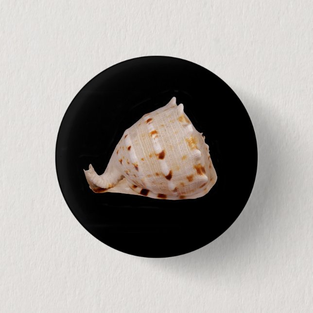 Conch Shell Badge Pinback Button (Front)