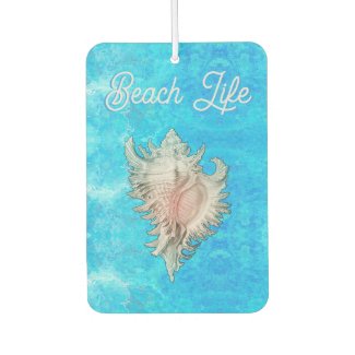 Conch Shell 