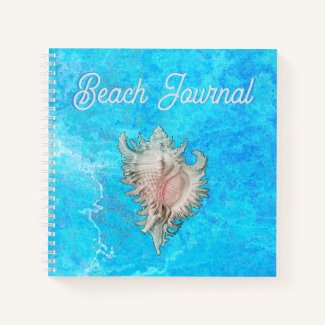 Conch Shell 