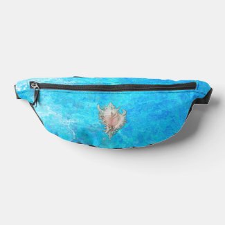 Conch Shell 