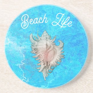 Conch Shell 