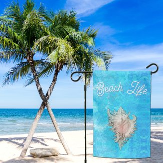 Conch Shell 