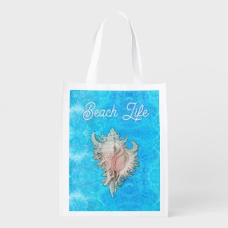 Conch Shell 