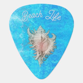 Conch Shell 